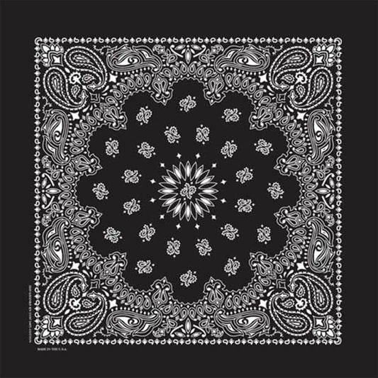 this is an image of Supreme Hav-A-Hank Bandana Single