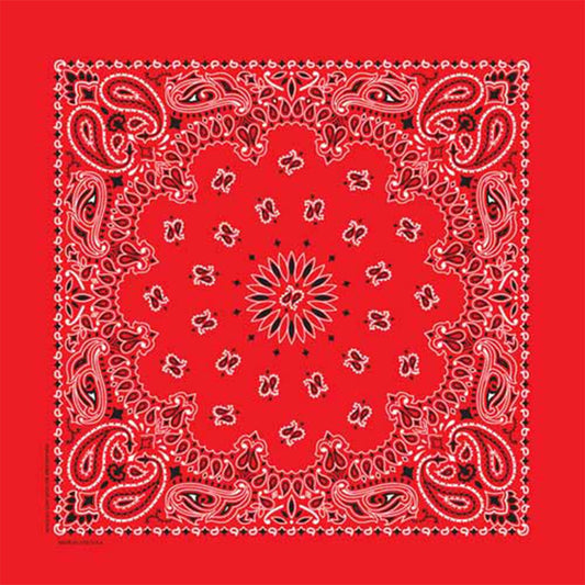 this is an image of Supreme Hav-A-Hank Bandana Single