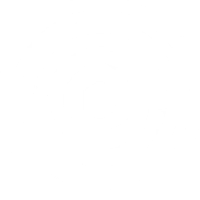 BEARINGS