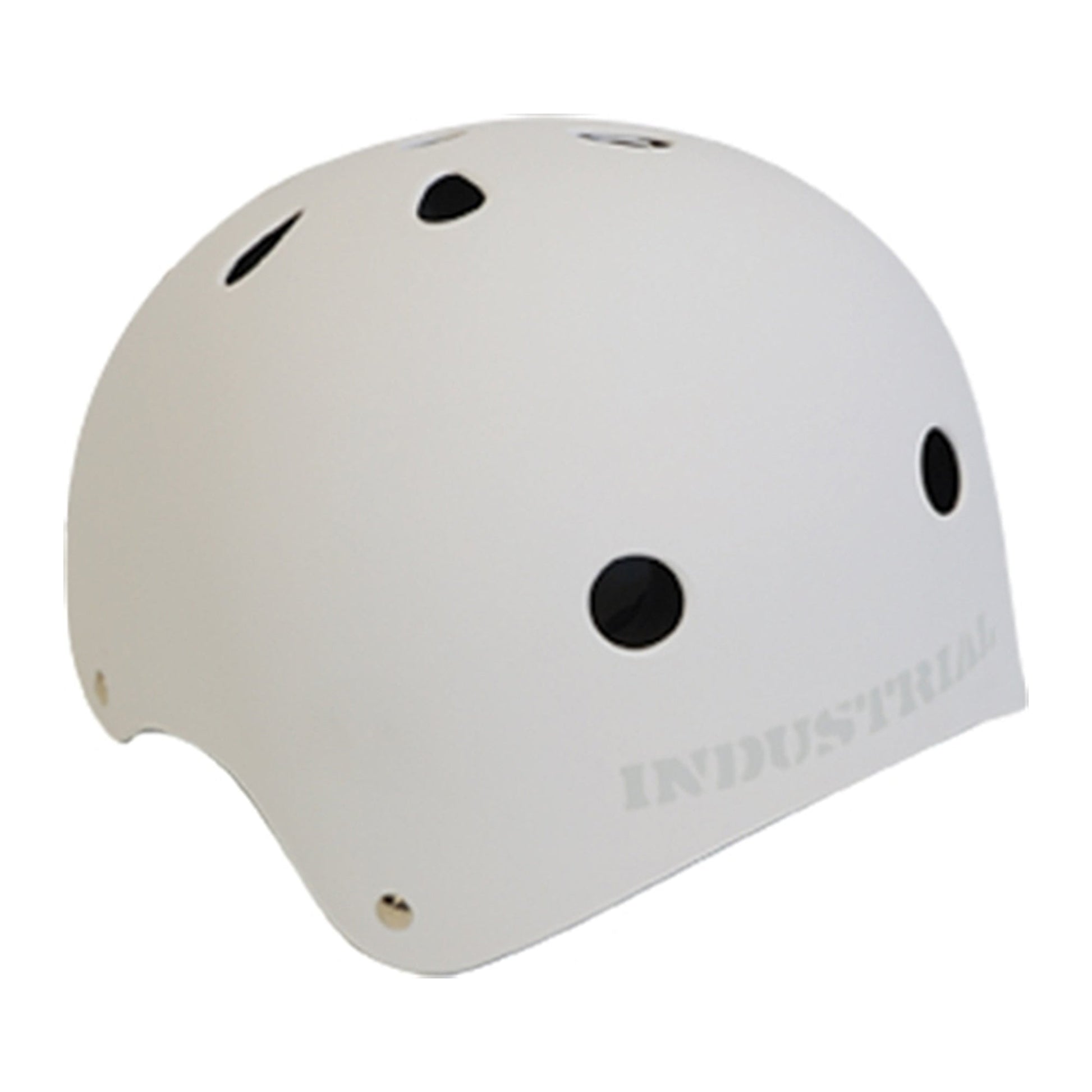 this is an image of Industrial Skateboard Helmet