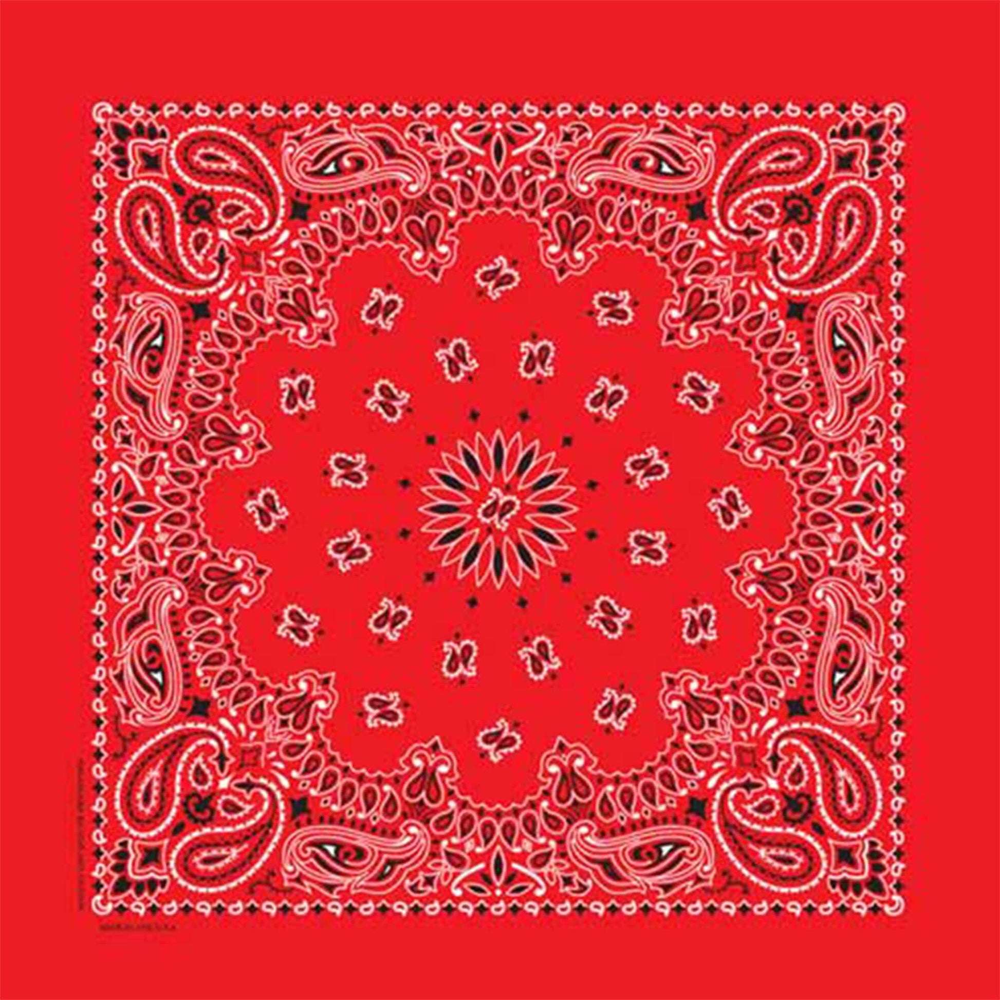 this is an image of Supreme Hav-A-Hank Bandana Single