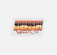 Assorted Skate Stickers