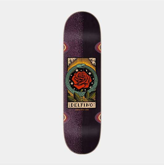 Santa Cruz Deck Delfino Ouroboros 8.25