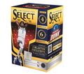 2020-21 Panini Select Basketball Blaster Box