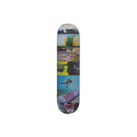 this is an image of Supreme Gummo Skateboard Deck